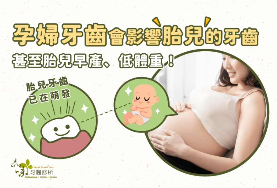 孕婦牙齒會影響胎兒的牙齒，甚至可能影響胎兒早產或低體重！